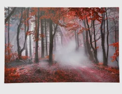 Bild Autumn II
