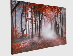 Bild Autumn II