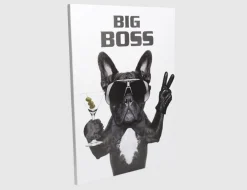 Bild Big Boss