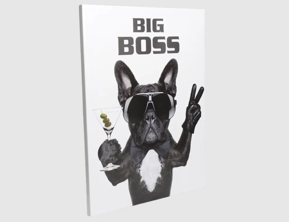 Bild Big Boss