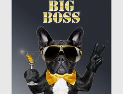 Bild Big Boss Bulldogge