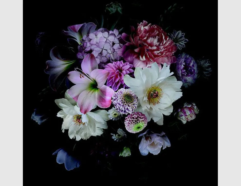 Bild Blumencollage dunkler Hintergrund