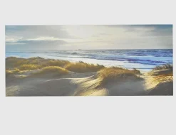 Bild Die Dünen und das Meer