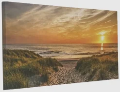 Bild Dünenblick