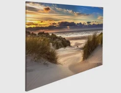 Bild Dünenlandschaft