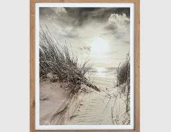 Bild Dünenweg am Meer