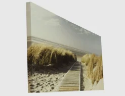 Bild Ein Weg durch Strand Dünen