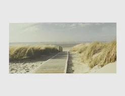 Bild Ein Weg durch Strand Dünen