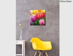 Bild Farbenfrohe Tulpen