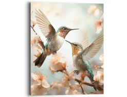 Bild fliegende Kolibris