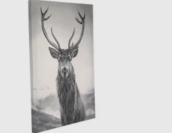 Bild Hirsch Schwarz, Weiß