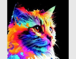 Bild Katze Bunt