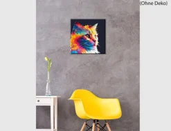 Bild Katze Bunt