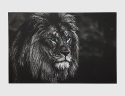 Bild Löwe Blaue Augen I