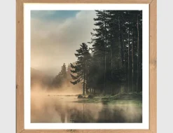 Bild Nebel am Waldsee