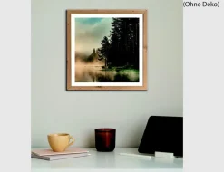 Bild Nebel am Waldsee