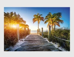 Bild Palmenstrand