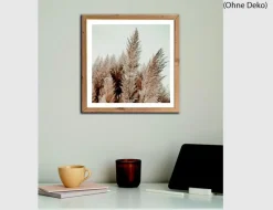 Bild Pampasgras Natur