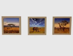 Bild Safari-Impressionen