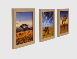 Bild Safari-Impressionen