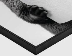 Bild Slim Frame Black Holdem 30x40cm