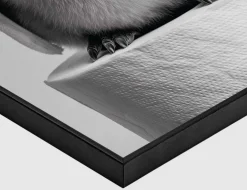 Bild Slim Frame Black Penguin Paper 20x30cm