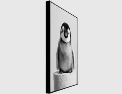 Bild Slim Frame Black Penguin Paper 20x30cm