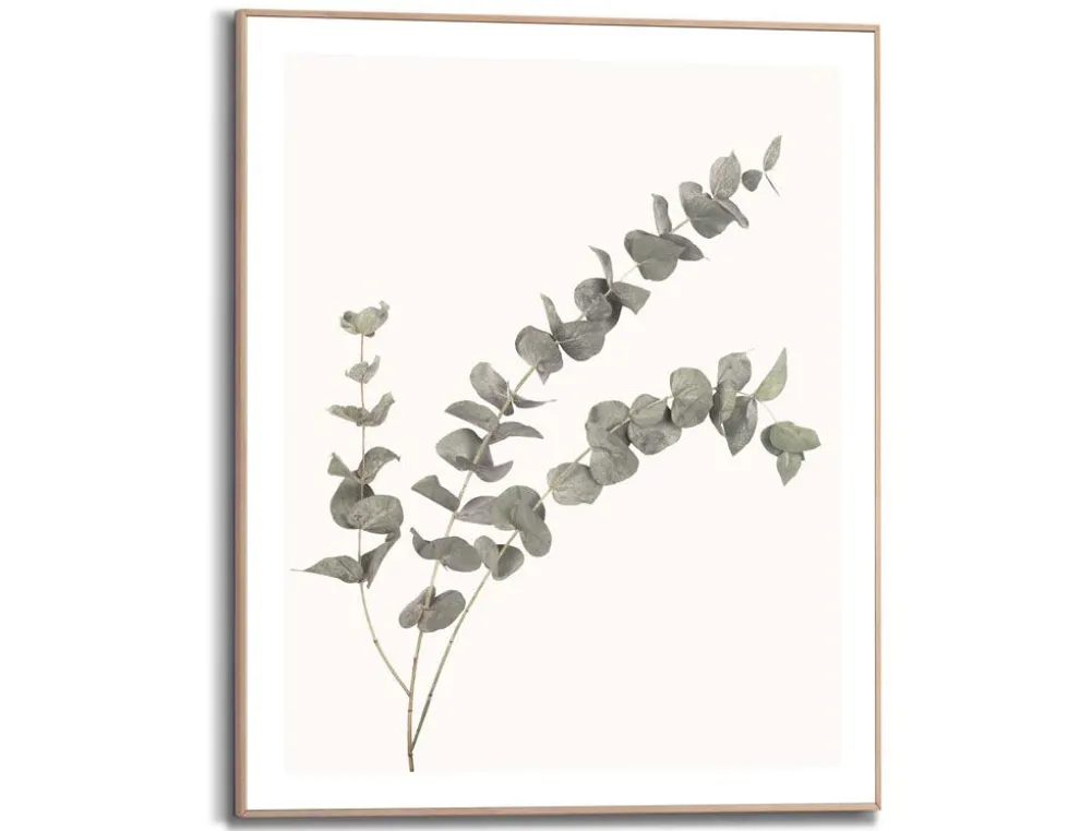 Bild Slim Frame Wood Eukalyptus 2