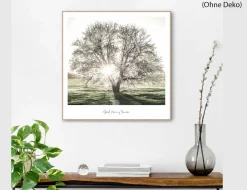 Bild Slim Frame Wood Morgensonne