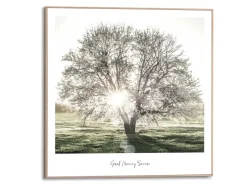 Bild Slim Frame Wood Morgensonne