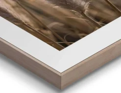 Bild Slim Frame Wood Pampasgras 2