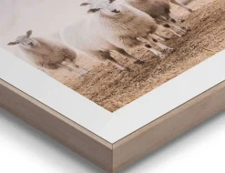 Bild Slim Frame Wood Schafe