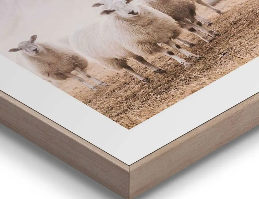 Bild Slim Frame Wood Schafe