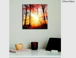 Bild Sonnenlicht im Herbstwald