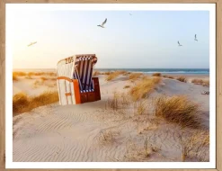 Bild Strandkorb in den Dünen