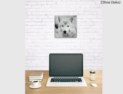 Bild Wolf Schwarz Weiß mit grünen Augen