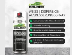 Dispersion Ausbesserungs-Spray Weiß
