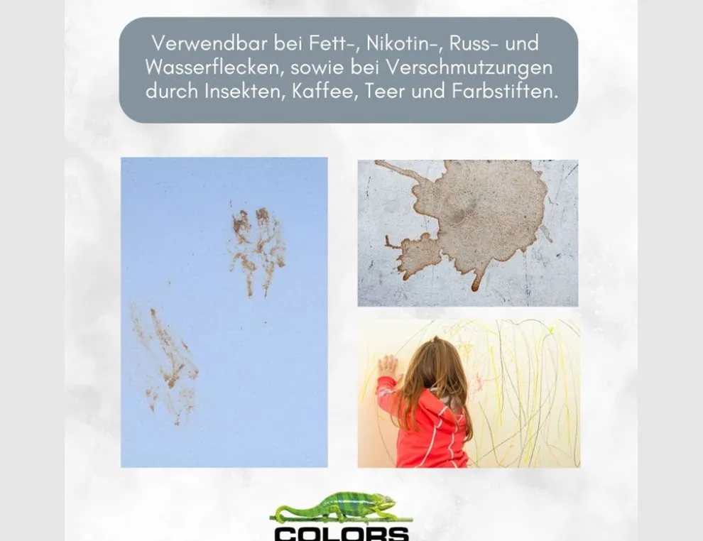 Dispersion Ausbesserungs-Spray Weiß