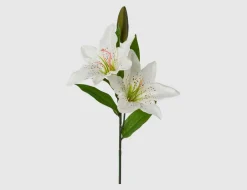 Einzelblume Lilie Weiß