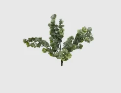 Eukalyptus Pick Grün