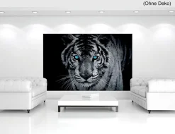 Fototapete TIGER