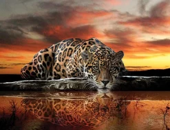 Fototapete Vlies Jaguar