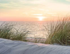 Fototapete Vlies Strandabend