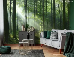 Fototapete Vlies Waldlichtung