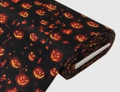 Jerseystoff Kürbis Schwarz, Orange
