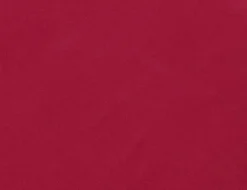 Jerseystoff Uni Berry