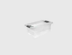Kristallbox Cornelia mit Deckel
