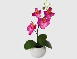 Kunstblume Orchidee