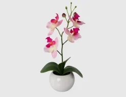 Kunstblume Orchidee