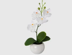 Kunstblume Orchidee